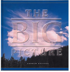 The Big Picture Book Cover